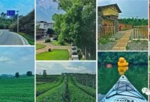 沒有漸變和筆刷的城市形象LOGO長啥樣？-酷播亮新聞