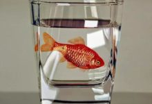 這種超現實的繪畫作品真的可以讓攝影師失業了-酷播亮新聞